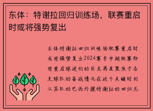 东体：特谢拉回归训练场，联赛重启时或将强势复出